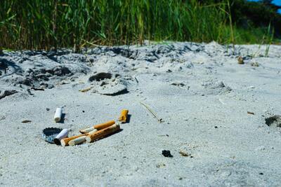 Cigarette butts littering the beach.